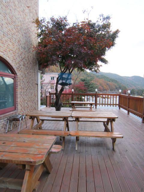 Songwol Park Motel Sokcho Exterior photo